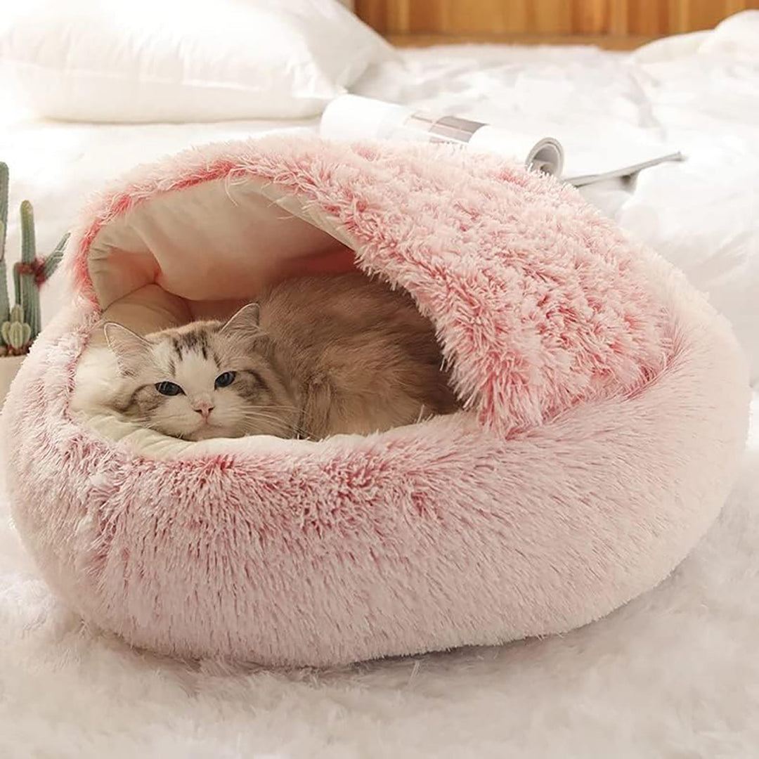 BowLift | ComfyPaws Dreamy Pet Retreat