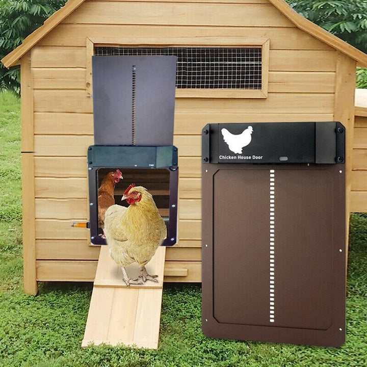 BowLift | Poultry PRO+ | Automatic Chicken Door