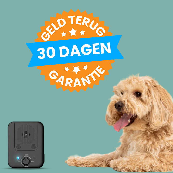 BowLift | Automatic Bark Stopper - WoofControl