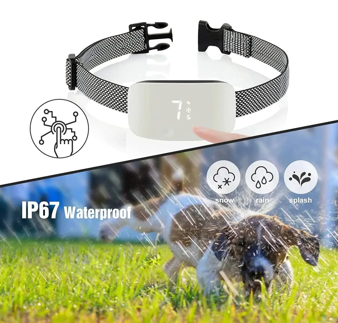 StilPoot Dog Training Collar Rechargeable and Waterproof | Bowlift