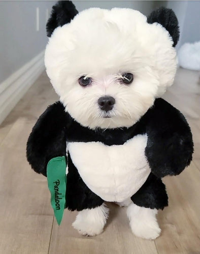 BowLift | Pandaloon Dog and Pet Costume Set