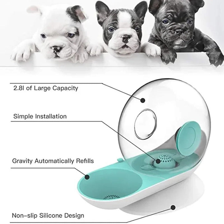 BowLift | AquaPoes Fountain – Automatic Drinking Fountain for Cats and Dogs with Stainless Steel Reservoir