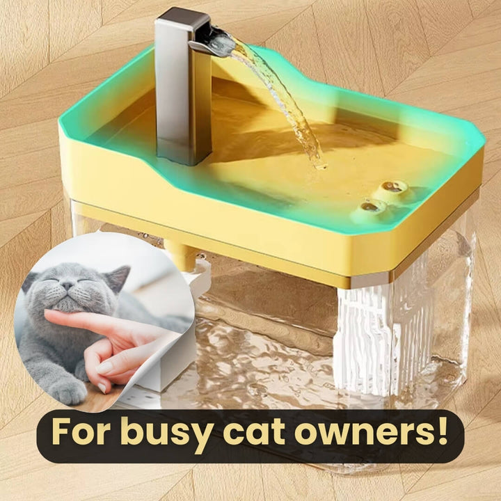 Cat Drinking Fountain 360° Sensor 1.5 L Quiet | Bowlift