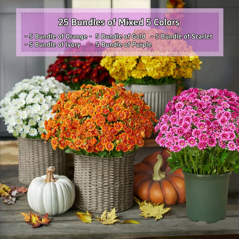 BowLift | AutumnBlaze — Your worry-free garden hit with colors that enchant every autumn!