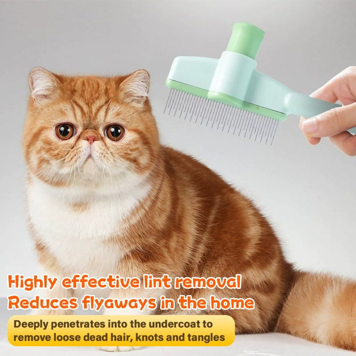 BowLift | Fur Magic Pro — Transforms care into magical moments of comfort for you and your pet!