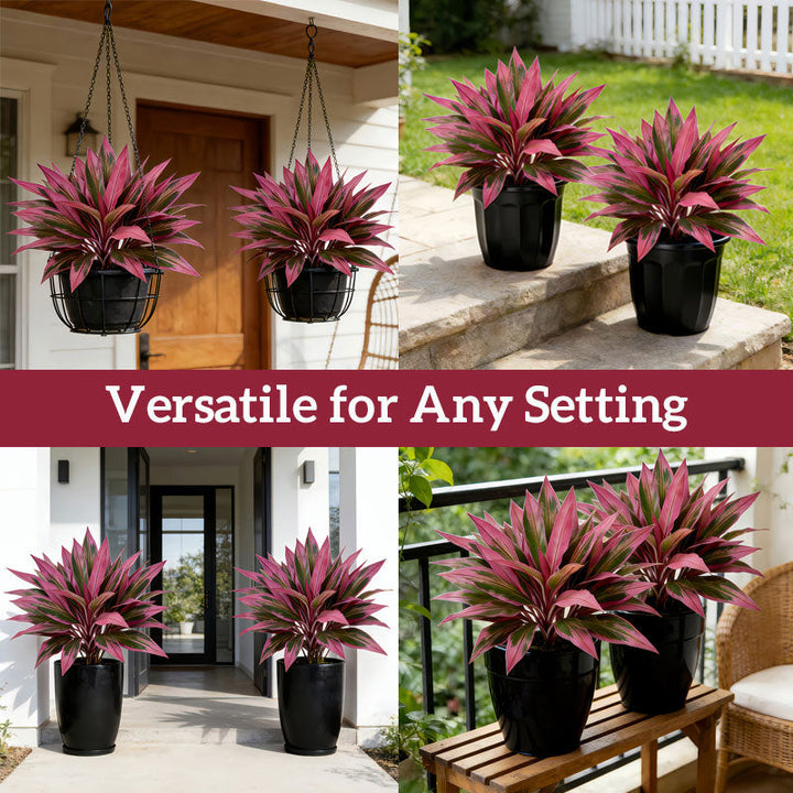 VerdoGlow — Vibrant freshness without effort that will transform your home forever | Bowlift