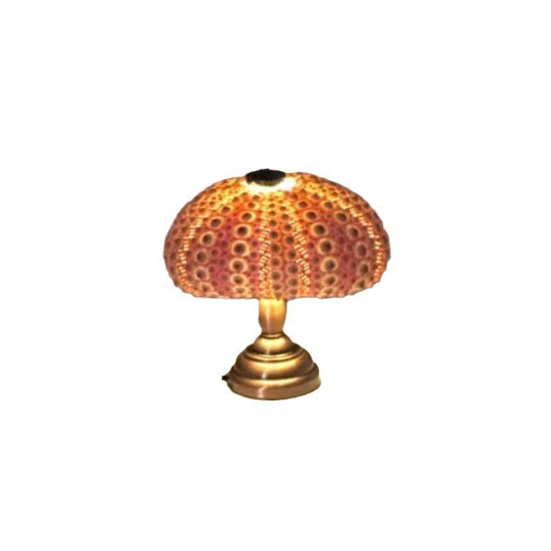 BowLift | DIY Sea Urchin Night Light