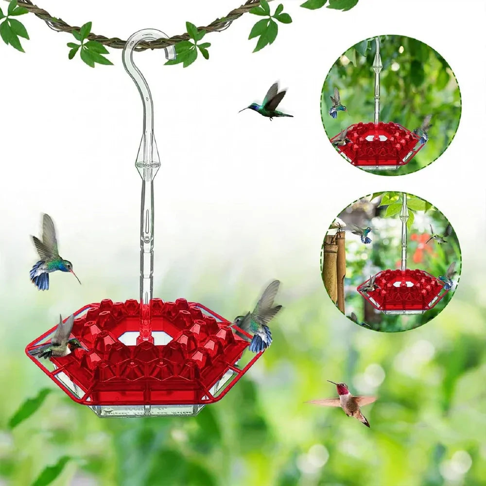 BowLift | KolibriKracher — Create a vibrant bird paradise right in your garden!