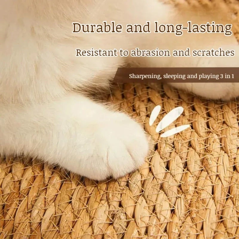 BowLift | PurrPad Paw-Friendly Pad