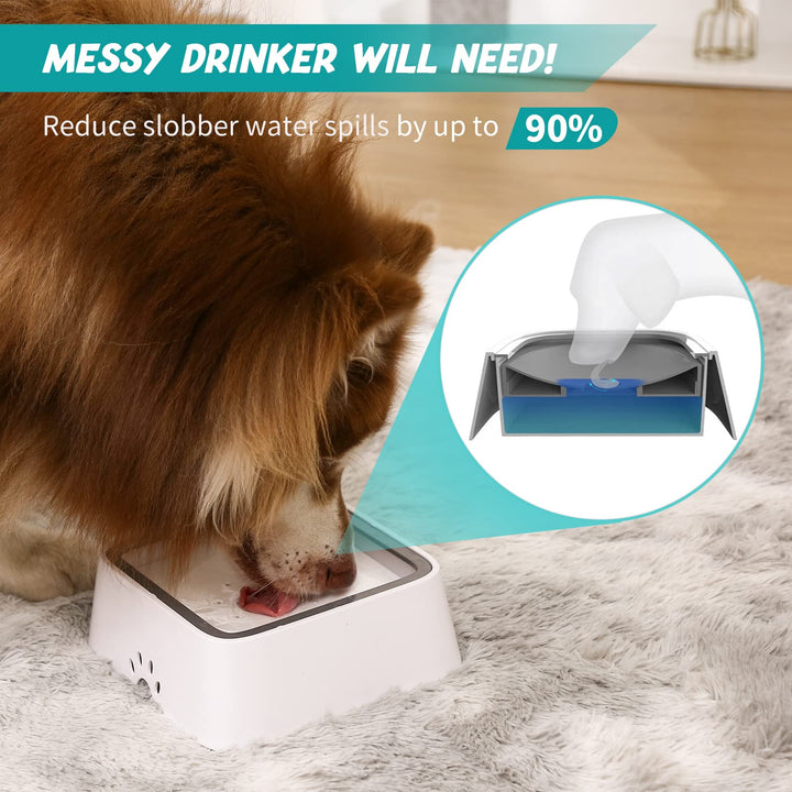 BowLift | Dry Bowl Dog Drinking