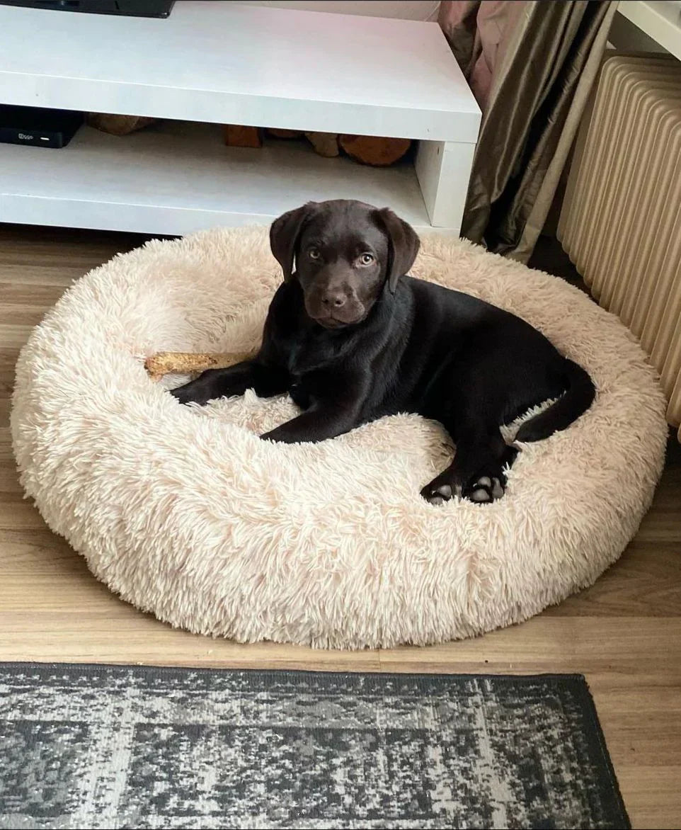 BowLift | Large Orthopedic Dog Bed with Ergonomic Support – Soft, Durable, Hypoallergenic Comfort for All Breeds