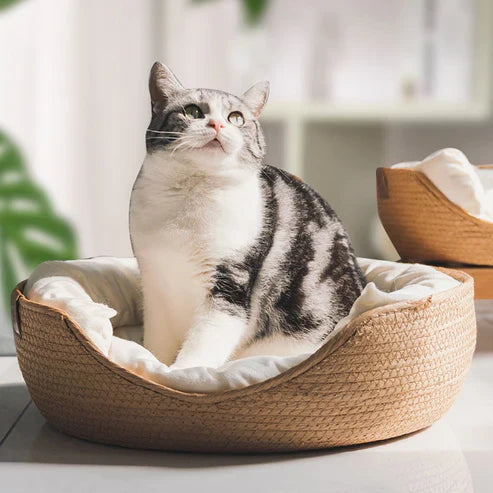 BowLift | Bamboo Bed