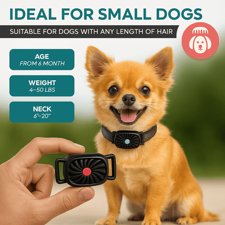 BowLift | BarkLess Nano – Gentle Anti-Bark Collar for Puppies & Small Dogs