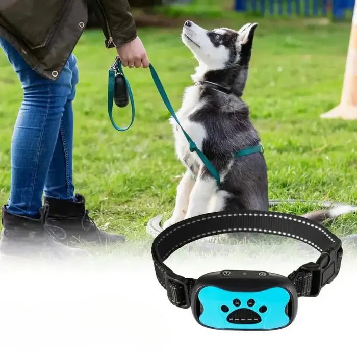 BarkTamer • Anti - Bark Collar - Anti - Bark Collar - BowLift