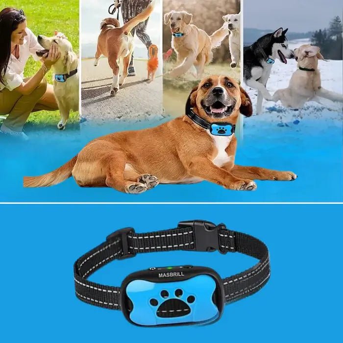 BarkTamer • Anti - Bark Collar - Anti - Bark Collar - BowLift