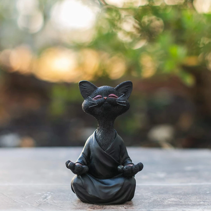 Meditative conversation | Bowlift