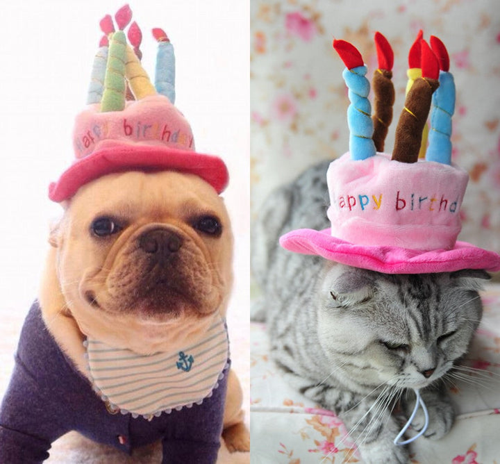 Birthday Hat for Dogs and Cats - PartyPaws Bowlift