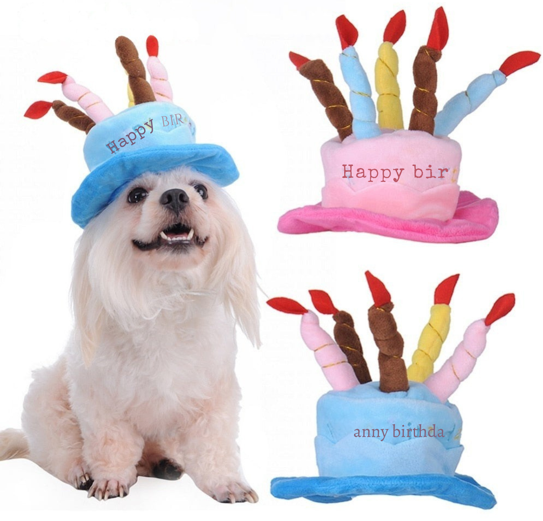 Birthday Hat for Dogs and Cats - PartyPaws Bowlift