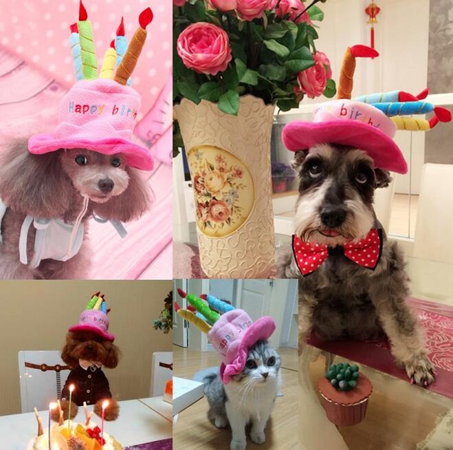 Birthday Hat for Dogs and Cats - PartyPaws Bowlift