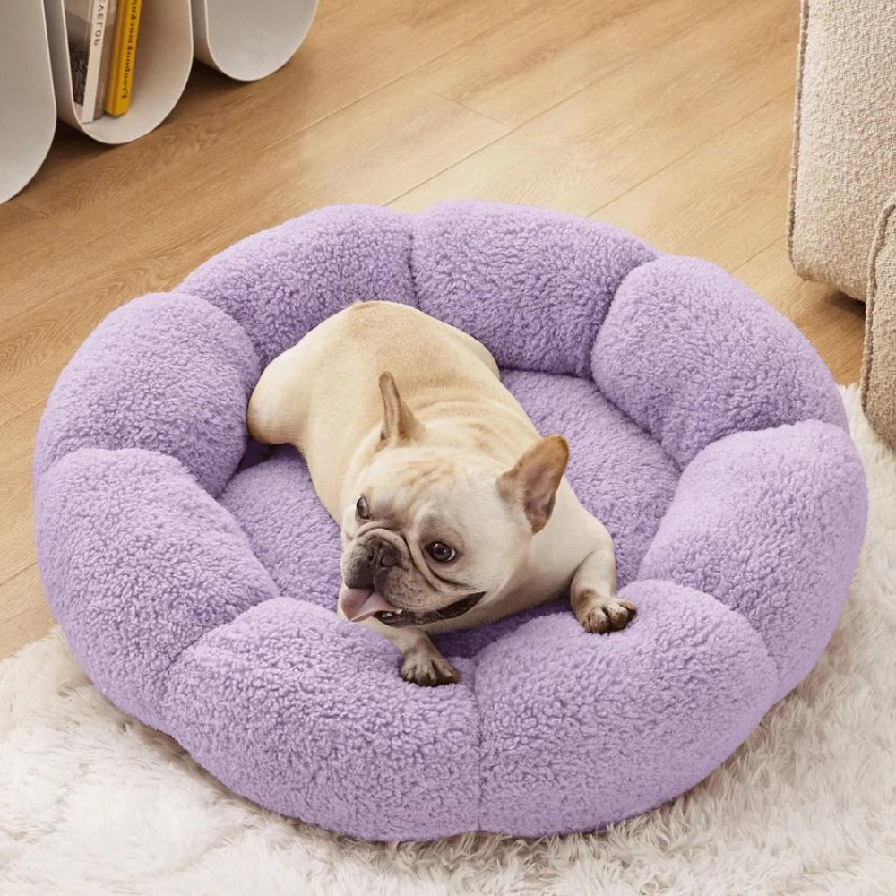 BlossomNest • Calming Flower Bed for Dogs & Cats - Dog & Cat Bed - BowLift