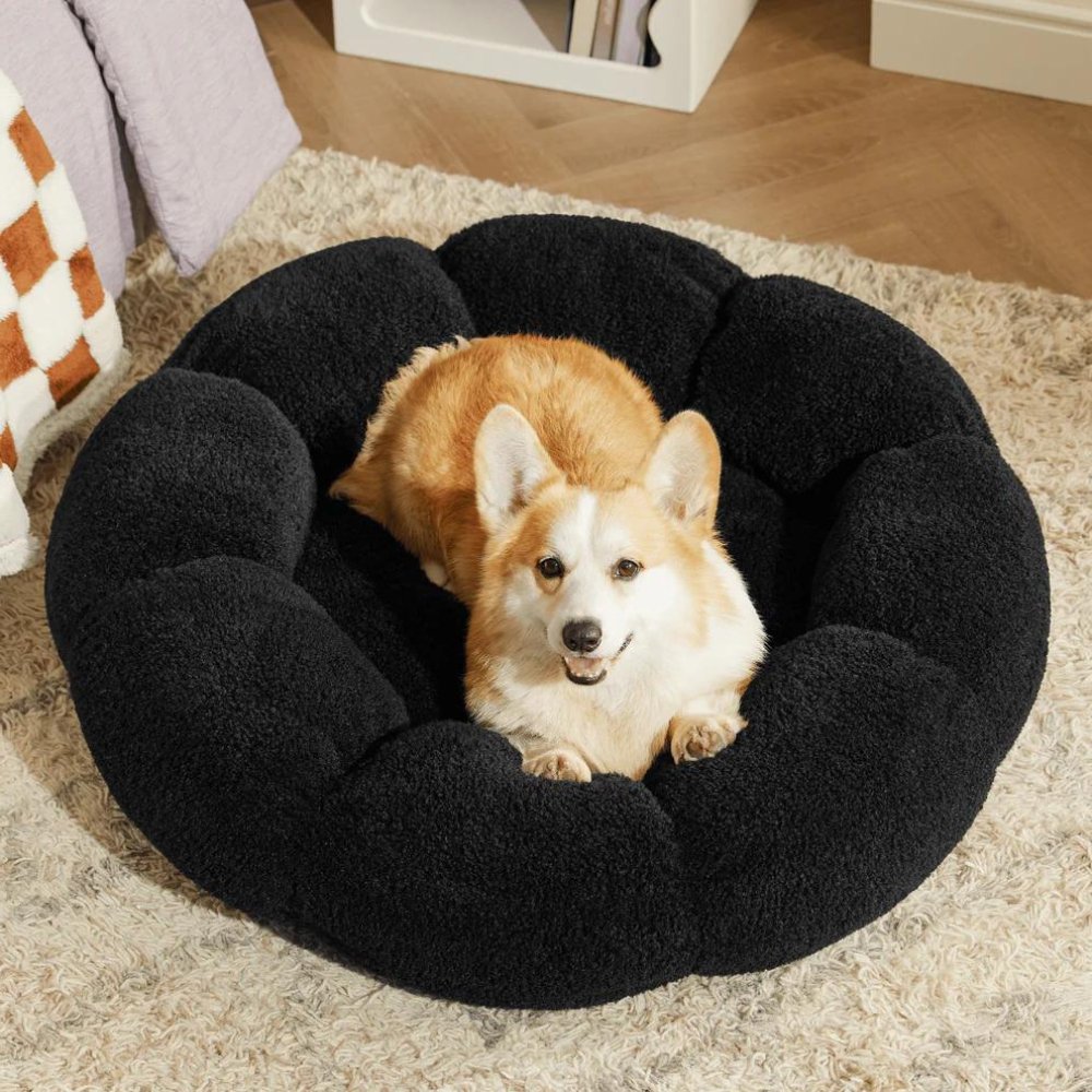 BlossomNest • Calming Flower Bed for Dogs & Cats - Dog & Cat Bed - BowLift