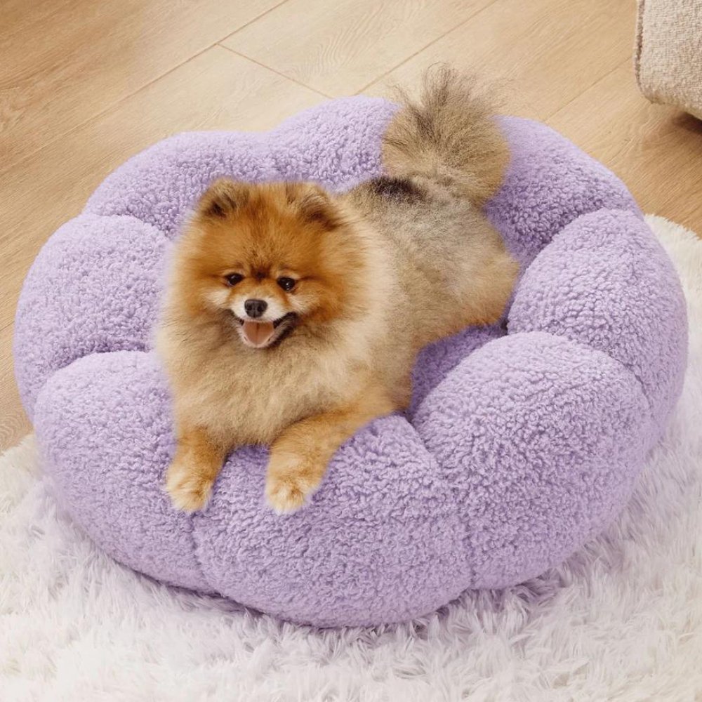 BlossomNest • Calming Flower Bed for Dogs & Cats - Dog & Cat Bed - BowLift