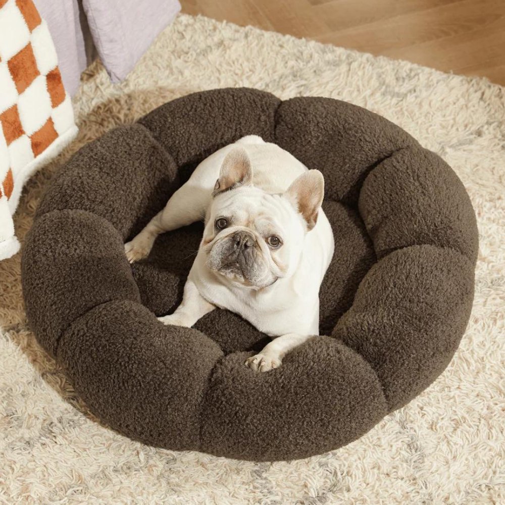 BlossomNest • Calming Flower Bed for Dogs & Cats - Dog & Cat Bed - BowLift