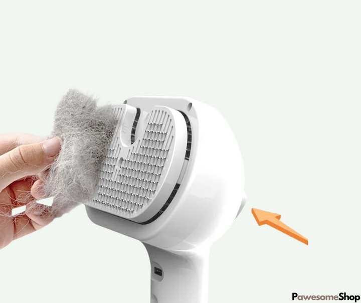 Pet Steam Brush with Steam Cleaning | Bowlift