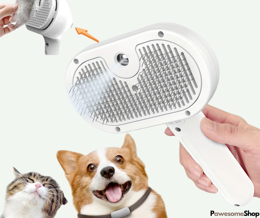 BowLift | Steam brush for pets with steam cleaning