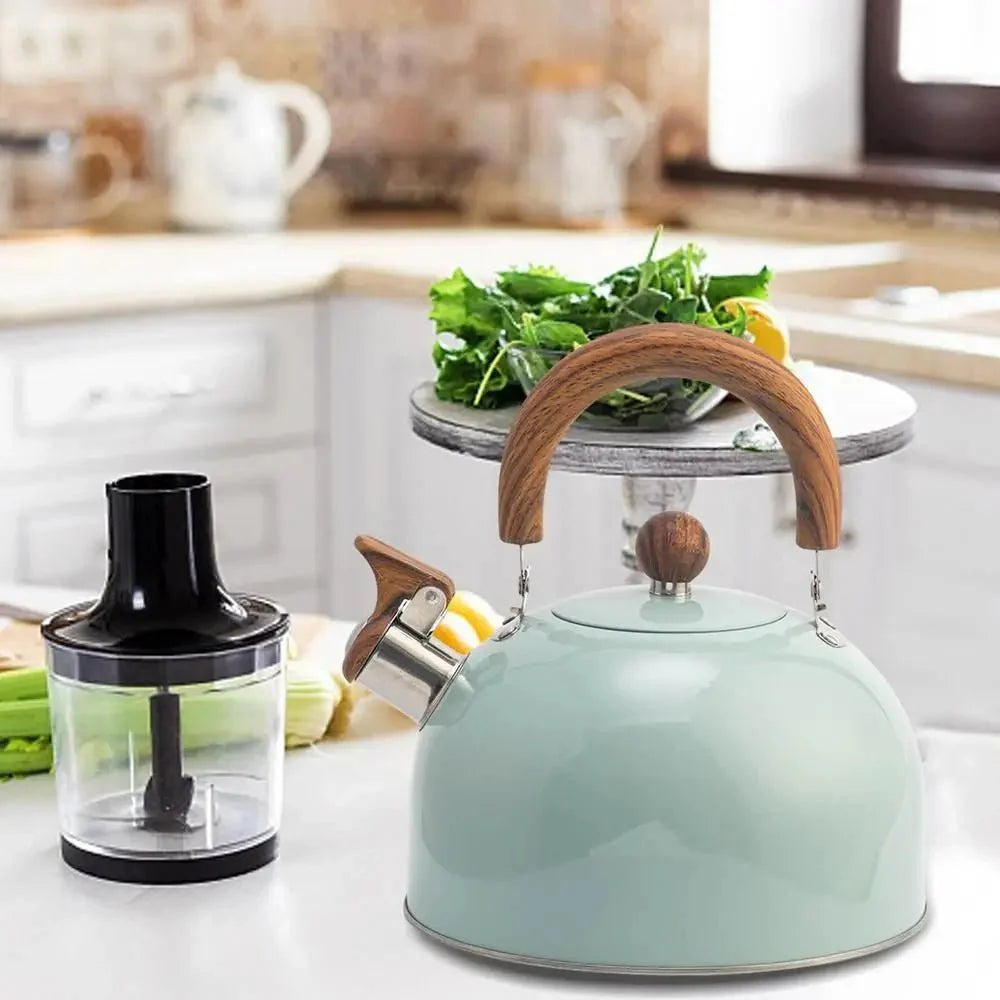 BowLift | BOILVIA – 3L Whistling Stainless Kettle with Comfort Grip Handle