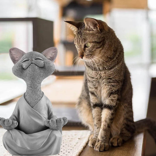 BowLift | Buddha cat with a meditative expression and spiritual message