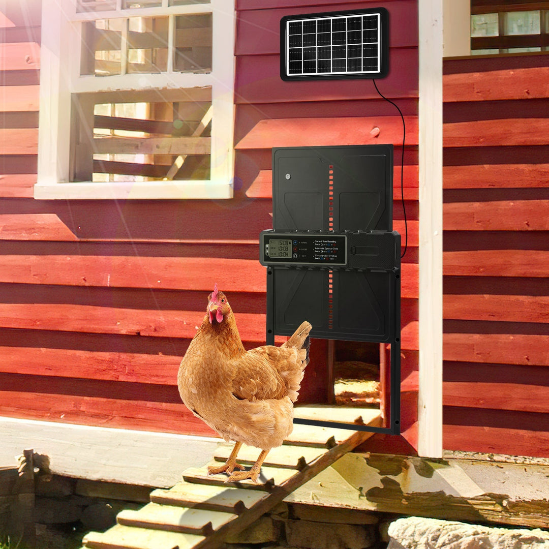 Electric Chicken Coop Door Solar with LED Display and Remote Control | Bowlift