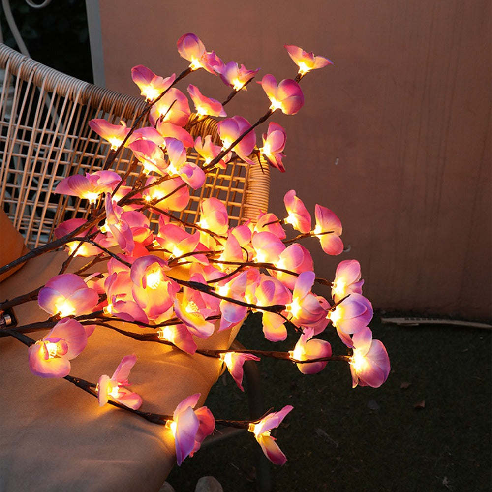 BowLift | FairyOlive - Enchanted Lamp with Olive Branch