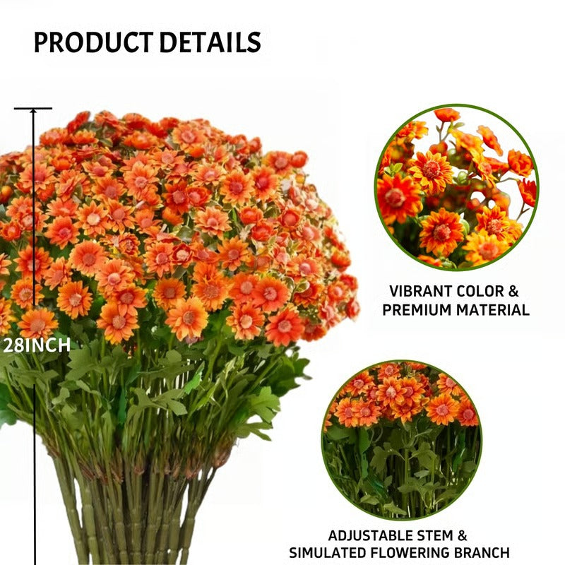 BowLift | AutumnBlaze — Your worry-free garden hit with colors that enchant every autumn!