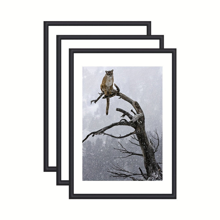 GalleryFrame – Set of 3 Black Photo Frames for Walls and Tables Bowlift