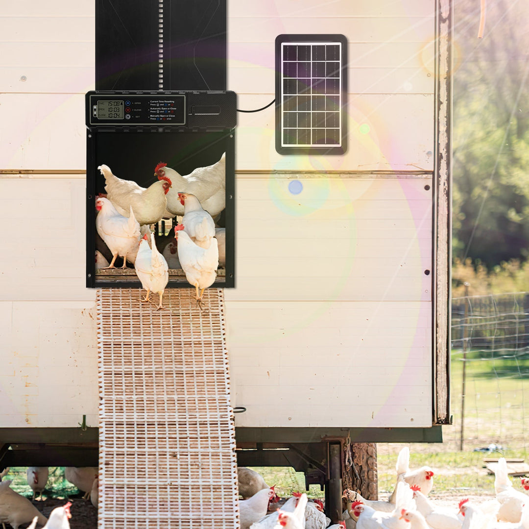 Electric Chicken Coop Door Solar with LED Display and Remote Control | Bowlift