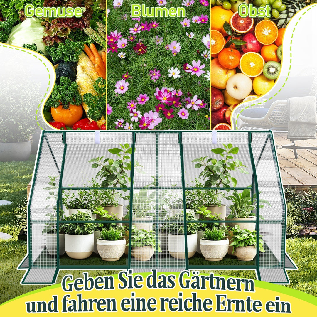 Greenhouse Tomato Greenhouse Hothouse | Bowlift