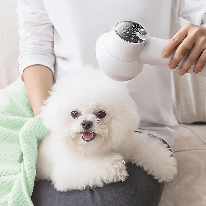 BowLift | Leiser Pet Hair Dryer with Ion Technology for Stress-Free Coat Care