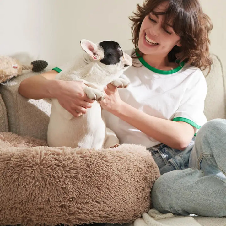 BowLift | Milowa Soft Orthopedic Pet Bed for Cats and Dogs