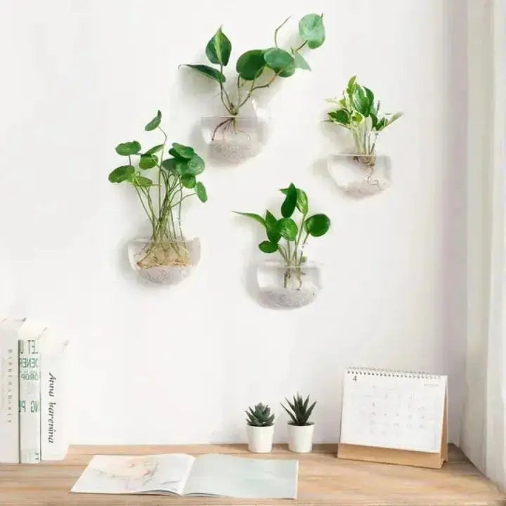 BowLift | GlasOase — Bring Your Walls to Life with Fresh Nature Power and Style
