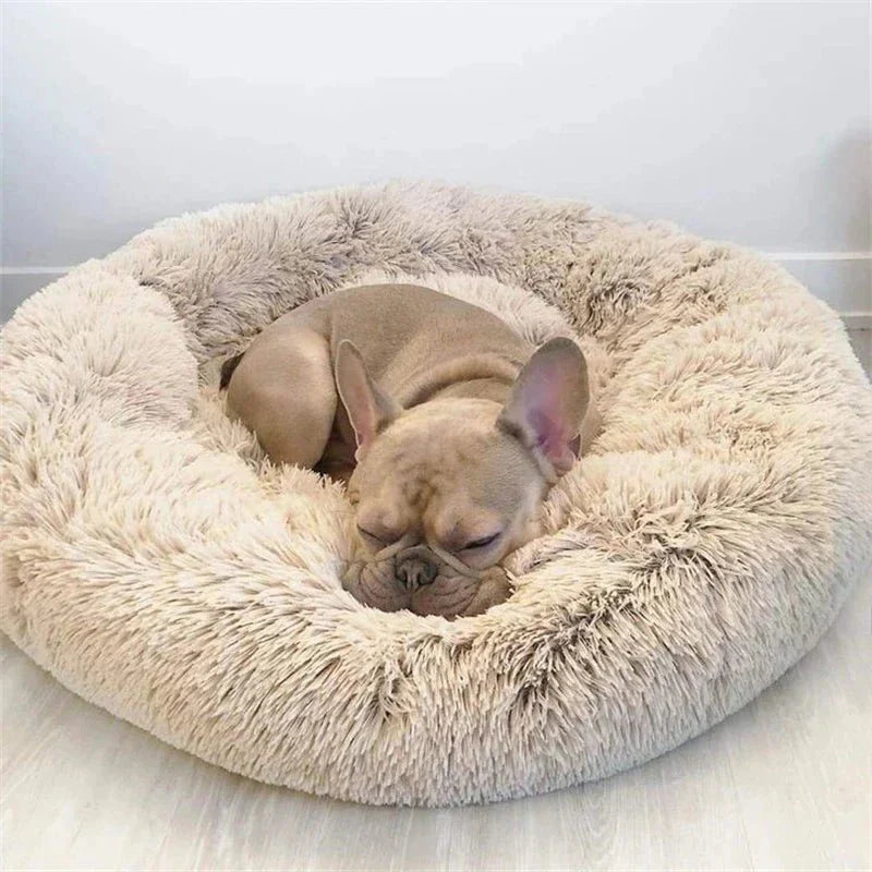 BowLift | SLUMBERPAWS BED – Calming Dog Bed for Deep, Restful Sleep