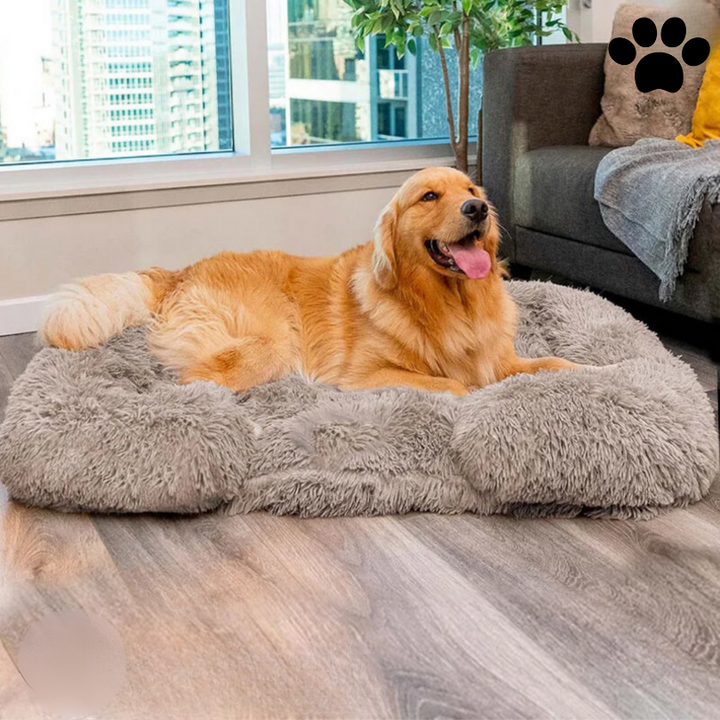 Calming Dog Bed with Memory Foam - Charlie Bowlift