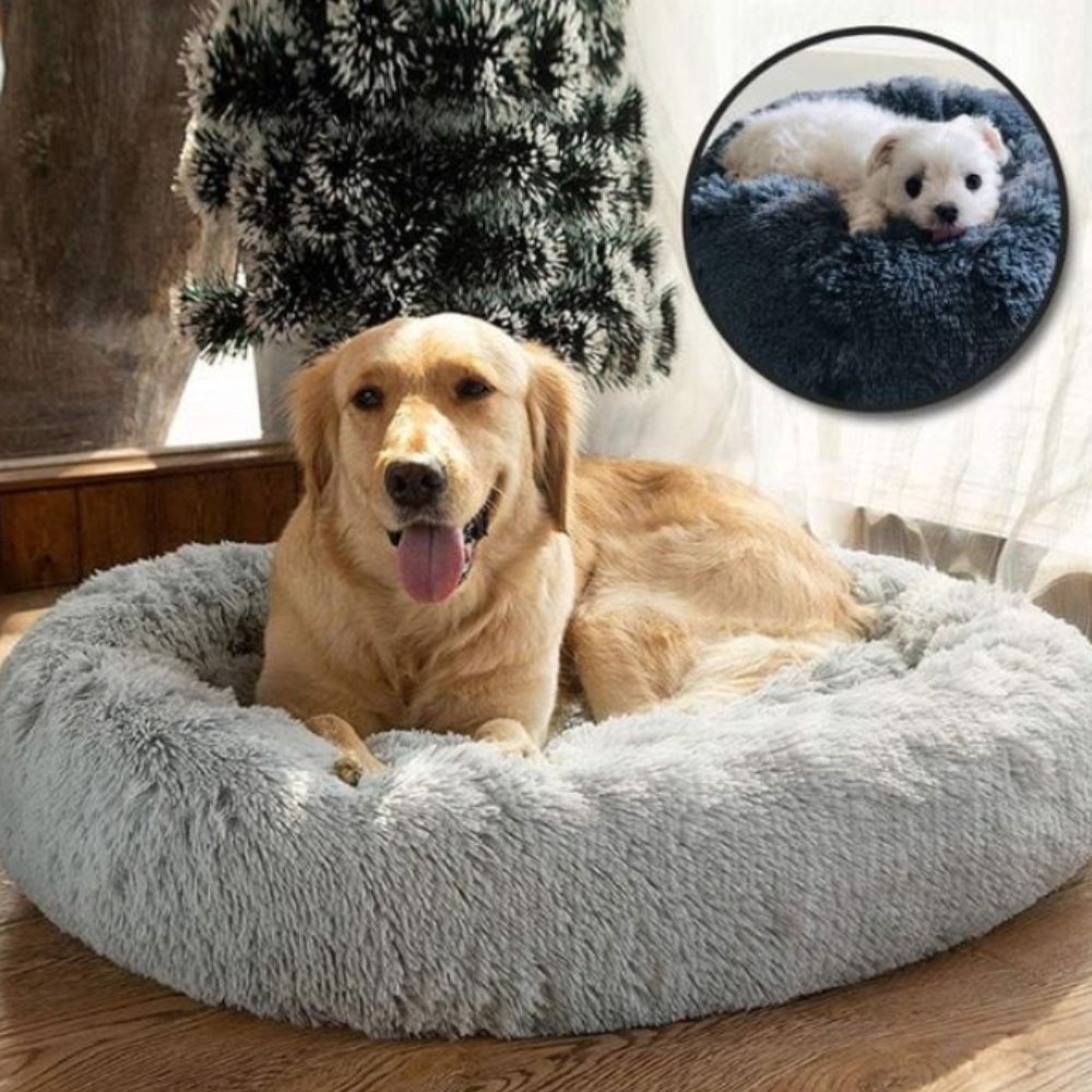 CalmNest • Anxiety - Reducing Pet Bed - Dog Bed - BowLift