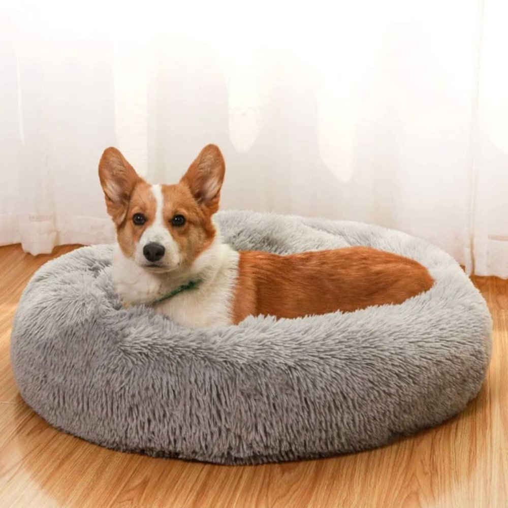 CalmNest • Anxiety - Reducing Pet Bed - Dog Bed - BowLift