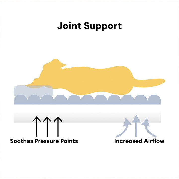 BowLift | CANILUX – Orthopedic Dog Bed with Raised Headrest & Soft Cushion