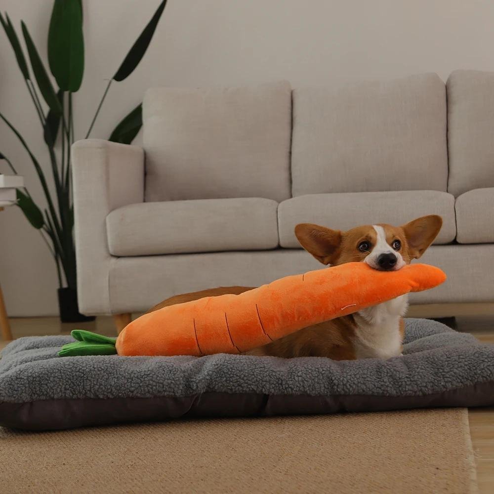 CarrotPlush • Interactive Dog Chew Toy - Interactive Dog Chew Toy - BowLift