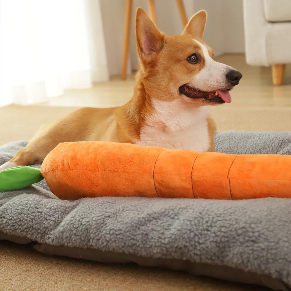 CarrotPlush • Interactive Dog Chew Toy - Interactive Dog Chew Toy - BowLift