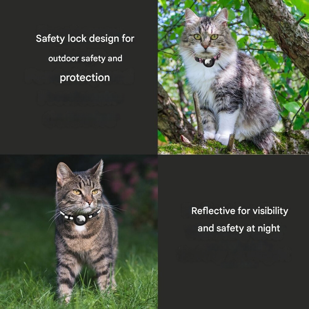 Cat Collar with Safety Closure - Milo Bowlift
