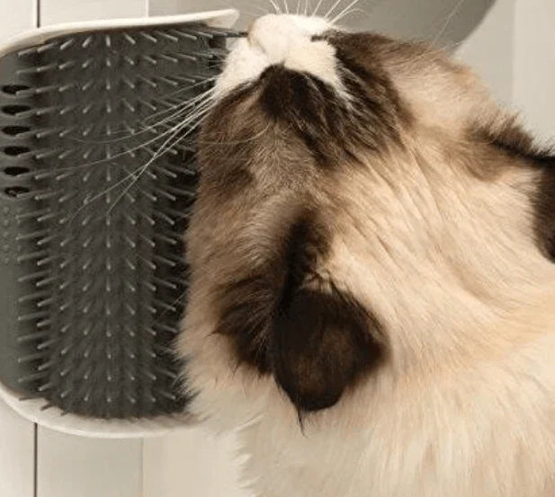 Cat Corner Brush for Self-Grooming - PurrGroom Bowlift