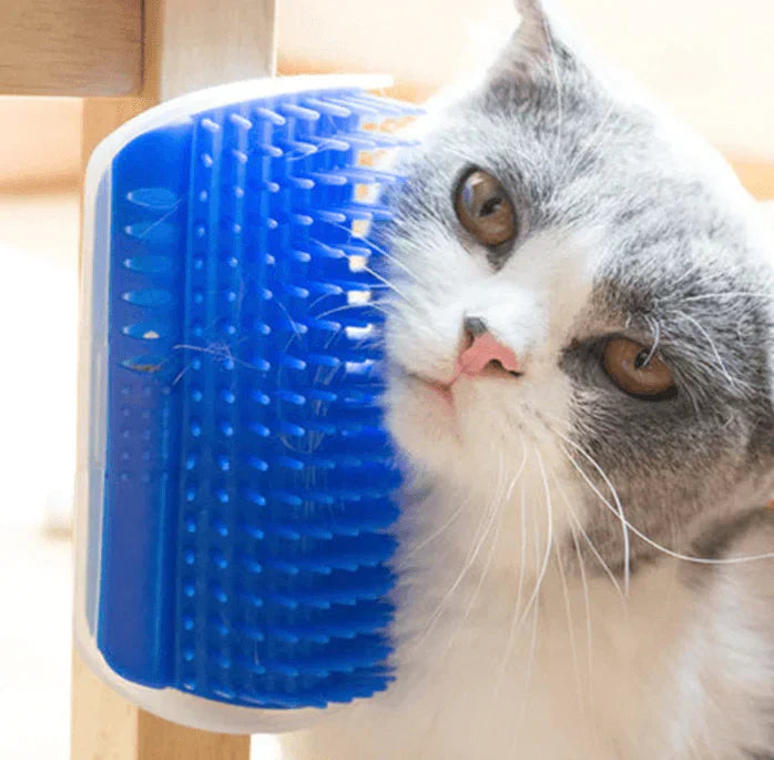 Cat Corner Brush for Self-Grooming - PurrGroom Bowlift
